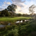 Royal Wellington Golf Blub by David Bradley , New Zealand