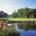 Fota Island