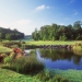 Fota Island by Aidan Bradley