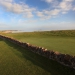 North Berwick by Gary Lisbon