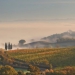Castiglion Del Bosco - view