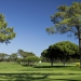 Vilamoura - Old