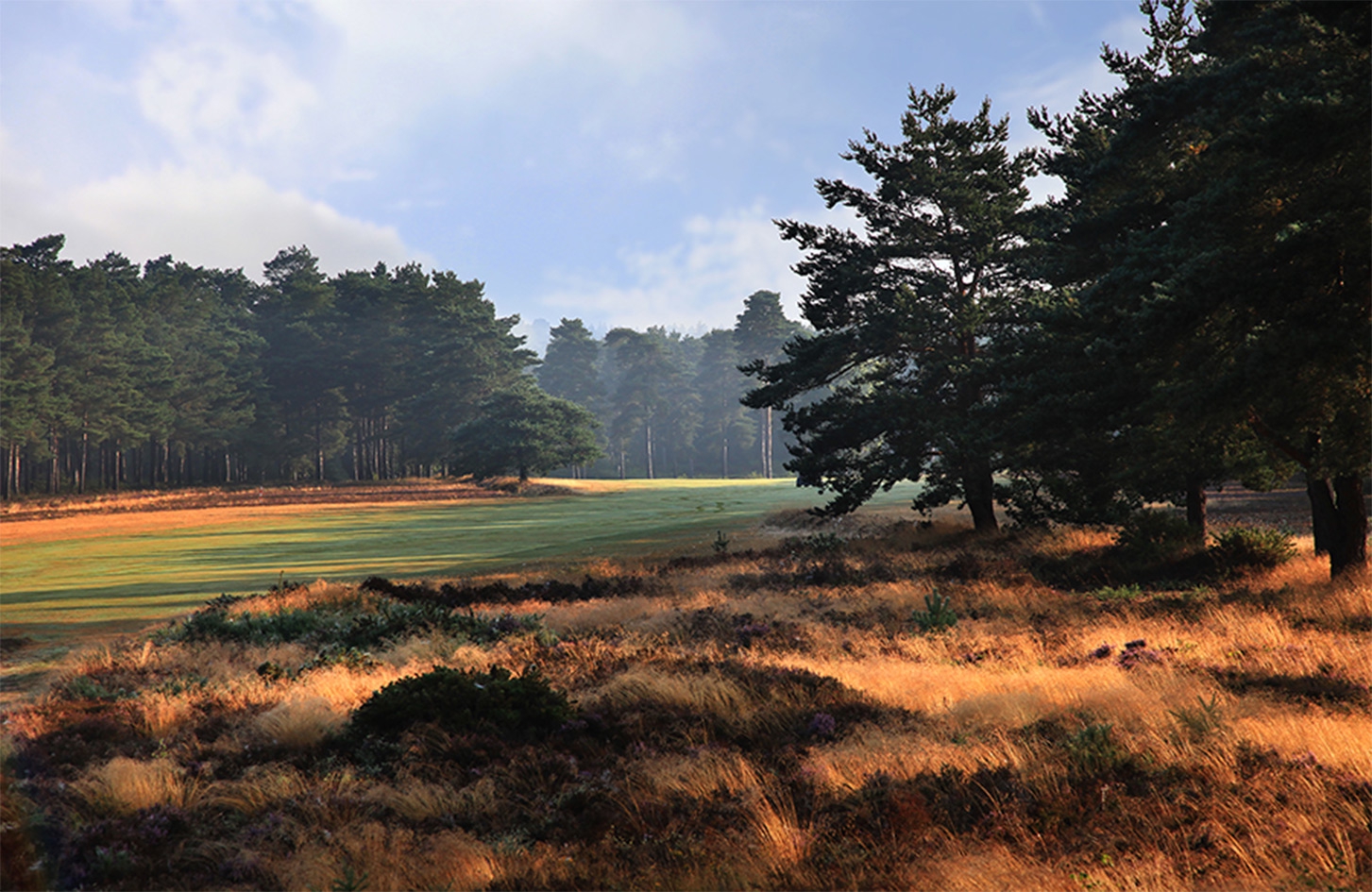 Hankley Common