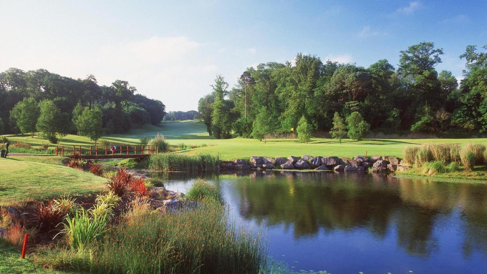 Fota Island