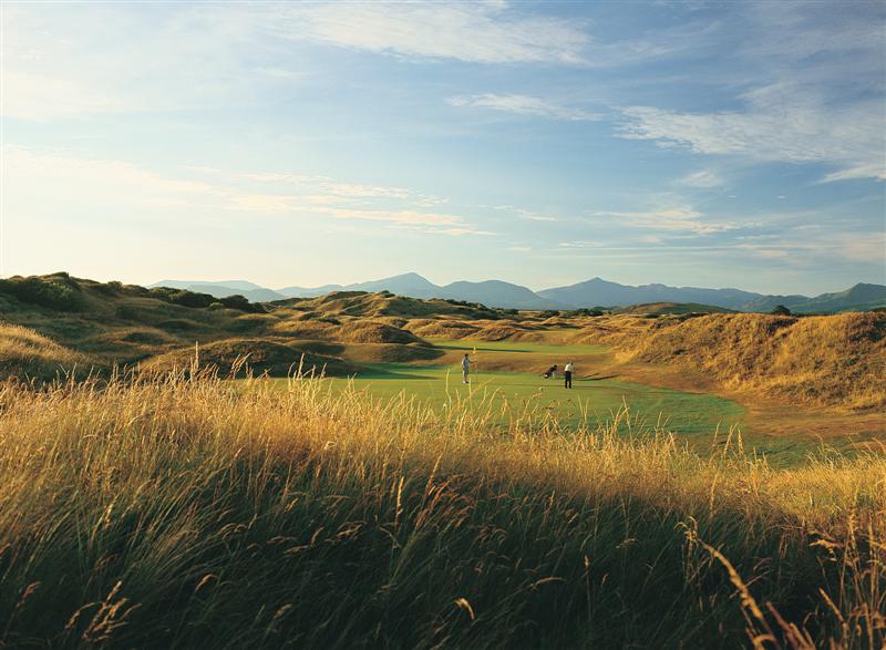 Royal St Davids