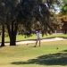<h2>2023 South America Golf Cruise</h2> 10 Nights | 4 Rounds | Buenos Aires – Rio de Janeiro | February 25 – March 7