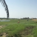 <h2>2018 Arabian Gulf Golf Cruise</h2>10 Nights | 5 Rounds | Dubai to Dubai | November 10 - 20