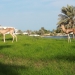 <h2>2018 Arabian Gulf Golf Cruise</h2>10 Nights | 5 Rounds | Dubai to Dubai | November 10 - 20