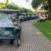 <h2>2023 June Irish Links Golf Cruise</h2>11 Nights | 3-6 Rounds | Dublin - Southampton | June 13 - 24
