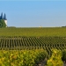 <h2>June 2023 Spain, Portugal & France Golf Cruise</h2>14 Nights | 7 Rounds | Barcelona - Bordeaux | June 3 – 17 
