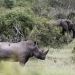 <h2>2020 South African Golf Cruise</h2>10 Nights | 4 Rounds | Cape Town – Cape Town | January 21 – 31