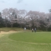 <h2>2019 Vietnam, Hong Kong & Japan Golf Cruise</h2>16 Nights | 4 Rounds | Singapore – Tokyo | March 29 – April 14