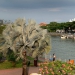 <h2>2019 Vietnam, Hong Kong & Japan Golf Cruise</h2>16 Nights | 4 Rounds | Singapore – Tokyo | March 29 – April 14