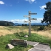 <h2>2018 New Zealand & Australia Golf Cruise</h2>13 Nights | 5-6 Rounds | Auckland to Sydney | February 22 – March 7