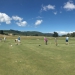 <h2>2018 New Zealand & Australia Golf Cruise</h2>13 Nights | 5-6 Rounds | Auckland to Sydney | February 22 – March 7