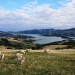 <h2>2018 New Zealand & Australia Golf Cruise</h2>13 Nights | 5-6 Rounds | Auckland to Sydney | February 22 – March 7
