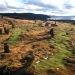 <h2>2018 New Zealand & Australia Golf Cruise</h2>13 Nights | 5-6 Rounds | Auckland to Sydney | February 22 – March 7