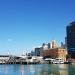 <h2>2019 New Zealand & Sydney Golf Cruise</h2>Azamara Quest (Jan)