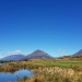 <h2>2019 New Zealand & Sydney Golf Cruise</h2>Azamara Quest (Jan)