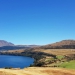 <h2>2019 New Zealand & Sydney Golf Cruise</h2>Azamara Quest (Jan)