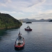 <h2>2019 New Zealand & Sydney Golf Cruise</h2>Azamara Quest (Jan)