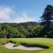 <h2>2019 New Zealand & Sydney Golf Cruise</h2>Azamara Quest (Jan)