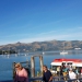 <h2>2019 New Zealand & Sydney Golf Cruise</h2>Azamara Quest (Jan)