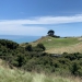 <h2>2019 New Zealand & Sydney Golf Cruise</h2>Azamara Quest (Jan)