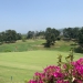 <h2>2023 Asia Golf Cruise</h2>17 Nights | 5 Rounds | Tokyo - Singapore | April 18 - May 5