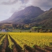 <h2>The Best of South Africa Escorted 2015</h2>13 Nights, 3 on Safari at Shamwari Game Reserve | 5 Rounds | November 1 – 15