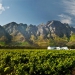 <h2>The Best of South Africa Escorted 2015</h2>13 Nights, 3 on Safari at Shamwari Game Reserve | 5 Rounds | November 1 – 15