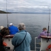 <h2>The Best of New Zealand Escorted 2018</h2>Taupo, Napier, Wellington & Queenstown