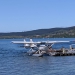 <h2>The Best of New Zealand Escorted 2018</h2>Taupo, Napier, Wellington & Queenstown