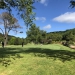<h2>The Best of New Zealand Escorted 2018</h2>Taupo, Napier, Wellington & Queenstown