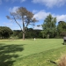 <h2>The Best of New Zealand Escorted 2018</h2>Taupo, Napier, Wellington & Queenstown