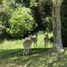 <h2>The Best of New Zealand Escorted 2018</h2>Taupo, Napier, Wellington & Queenstown