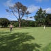 <h2>The Best of New Zealand Escorted 2018</h2>Taupo, Napier, Wellington & Queenstown