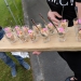 <h2>The Best of New Zealand Escorted 2018</h2>Taupo, Napier, Wellington & Queenstown