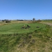 <h2>The Best of New Zealand Escorted 2018</h2>Taupo, Napier, Wellington & Queenstown
