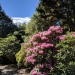 <h2>The Best of New Zealand Escorted 2018</h2>Taupo, Napier, Wellington & Queenstown