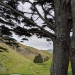 <h2>The Best of New Zealand Escorted 2018</h2>Taupo, Napier, Wellington & Queenstown