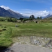 <h2>The Best of New Zealand Escorted 2018</h2>Taupo, Napier, Wellington & Queenstown