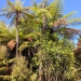 <h2>The Best of New Zealand Escorted 2018</h2>Taupo, Napier, Wellington & Queenstown