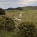<h2>The Best of New Zealand Escorted 2018</h2>Taupo, Napier, Wellington & Queenstown