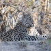 <h2>The Best of South Africa Escorted 2018</h2>Golf, Kruger Safari, Cape Town, the Winelands & Garden Route