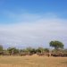 <h2>The Best of South Africa Escorted 2018</h2>Golf, Kruger Safari, Cape Town, the Winelands & Garden Route