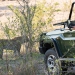 <h2>The Best of South Africa Escorted 2018</h2>Golf, Kruger Safari, Cape Town, the Winelands & Garden Route