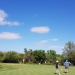 <h2>The Best of South Africa Escorted 2018</h2>Golf, Kruger Safari, Cape Town, the Winelands & Garden Route