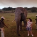 <h2>The Best of South Africa Escorted 2018</h2>Golf, Kruger Safari, Cape Town, the Winelands & Garden Route