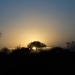 <h2>The Best of South Africa Escorted 2018</h2>Golf, Kruger Safari, Cape Town, the Winelands & Garden Route